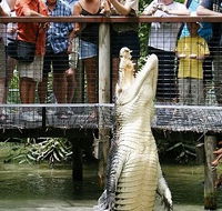 Hartley's Crocodile Adventures - Accommodation Newcastle