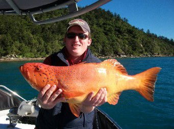 Gone Fishing By Coral Sea Fishing Charters Airlie Beach - Accommodation Newcastle 0