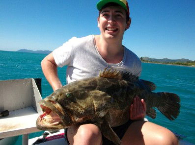 Gone Fishing By Coral Sea Fishing Charters Airlie Beach - Accommodation Newcastle 4