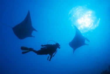 Adrenalin Snorkel And Dive - Accommodation Newcastle 1