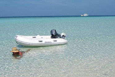 Adrenalin Snorkel And Dive - Accommodation Newcastle 4