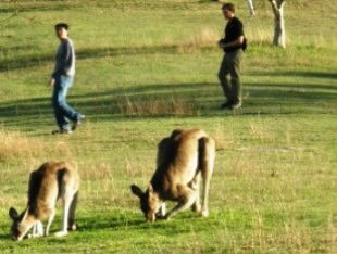 Southern Queensland Country QLD Accommodation Newcastle
