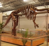 Australia's Dinosaur Trail - Accommodation Newcastle
