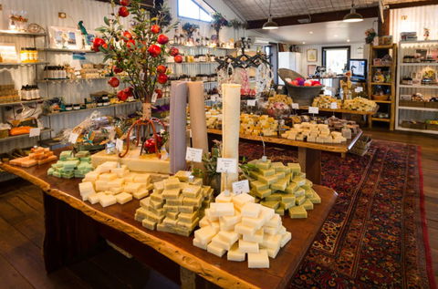 Vasse Virgin - Accommodation Newcastle 3