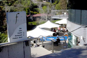 Fenix - Accommodation Newcastle 0