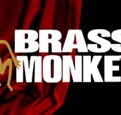 The Brass Monkey - Accommodation Newcastle
