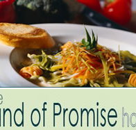 Land of Promise Hotel - Accommodation Newcastle