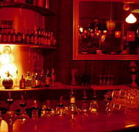 The Night Cat - Accommodation Newcastle