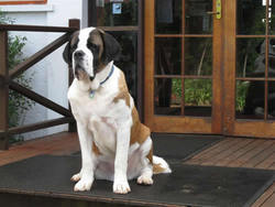 Mt Tamborine QLD Accommodation Newcastle