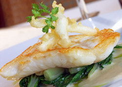 The Courthouse Hotel - Brunswick - Accommodation Newcastle 1