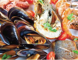 Pelagos Greek Tavern - Accommodation Newcastle 2