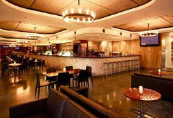 Martin Place Bar - Accommodation Newcastle 0