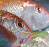 Coro Hotel - Lure Seafood Restaurant - Accommodation Newcastle