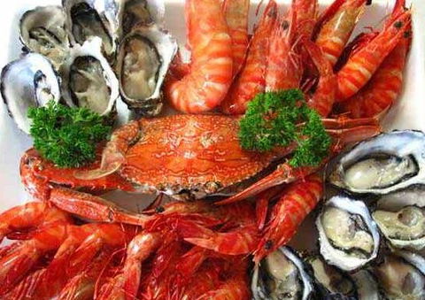 The Lazy Lobster - Accommodation Newcastle 1