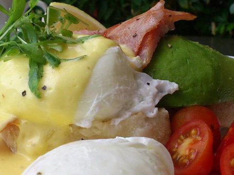 Vroom Bistro - Accommodation Newcastle 4