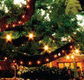 The Oaks - Accommodation Newcastle