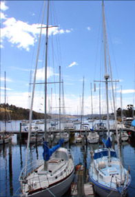 Oyster Cove Inn - Accommodation Newcastle 0