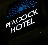 Peacock Inn Hotel - Accommodation Newcastle