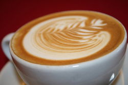  Accommodation Newcastle