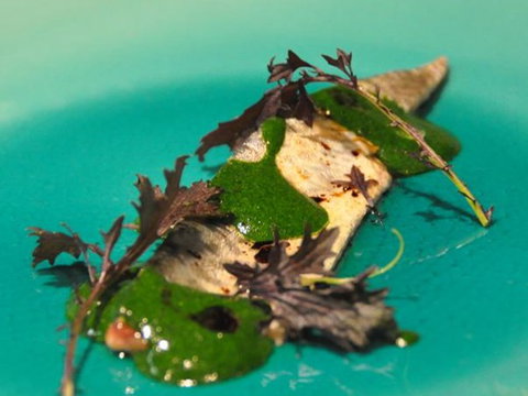 Esquire Restaurant - Accommodation Newcastle 3