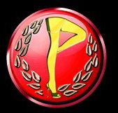 Players Showgirls - Accommodation Newcastle