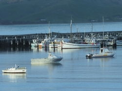 Apollo Bay VIC Accommodation Newcastle