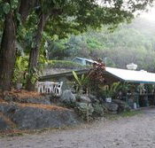 Ellis Beach Bar  Grill - Accommodation Newcastle