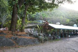 Ellis Beach Bar & Grill - Accommodation Newcastle 0