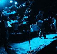 Fly By Night Musicians Club - Accommodation Newcastle
