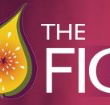 Pickled Fig - Accommodation Newcastle