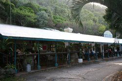 Ellis Beach Bar & Grill - Accommodation Newcastle 1