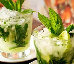 Coco Cubano - Darlinghurst - Accommodation Newcastle 2