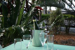 Ellis Beach Bar & Grill - Accommodation Newcastle 3