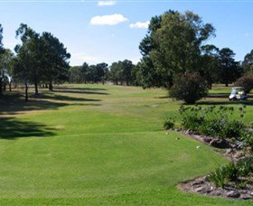 Branxton Golf Club - Accommodation Newcastle 0