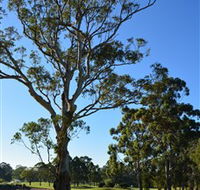 Ryde-Parramatta Golf Club - Accommodation Newcastle