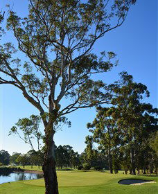 Ryde-Parramatta Golf Club - Accommodation Newcastle 0