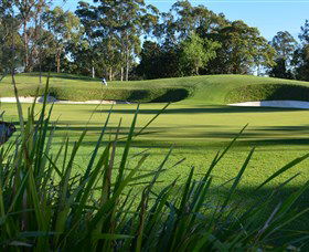 Ryde-Parramatta Golf Club - Accommodation Newcastle 1