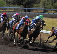 Alice Springs Turf Club - Accommodation Newcastle
