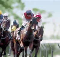 Colac Turf Club - Accommodation Newcastle