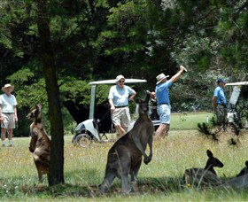 Glen Innes NSW Accommodation Newcastle