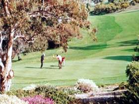 Victor Harbor Golf Club - Accommodation Newcastle 1