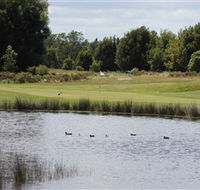 Llanherne Golf Club - Accommodation Newcastle