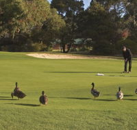 Royal Hobart Golf Club - Accommodation Newcastle
