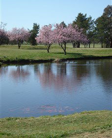 RMC Golf Club - Accommodation Newcastle 0