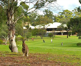 Merimbula NSW Accommodation Newcastle