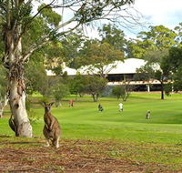 Pambula Merimbula Golf Club - Accommodation Newcastle