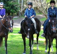 Kings Creek Saddle Club - Accommodation Newcastle