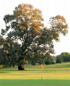 Cowra NSW Accommodation Newcastle