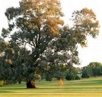 Cowra Golf Club - Accommodation Newcastle