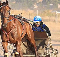 Ballarat  District Trotting Club - Accommodation Newcastle